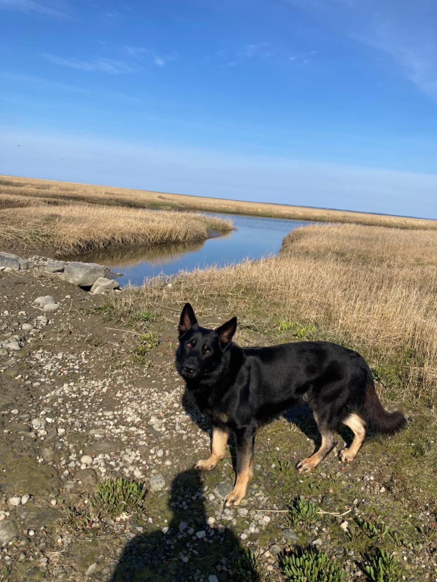 Appartamento Lille Rode Hus Mando Ribe Esterno foto